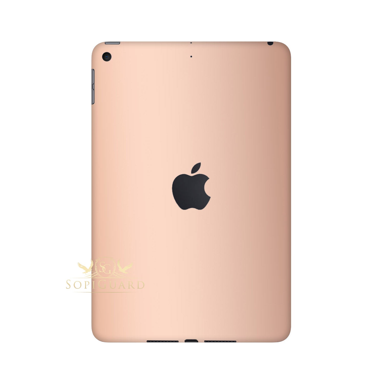 for Apple iPad 10.2 7th Gen (2019)